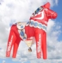 OO-BQH   Willy Naessens paard