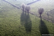 waw foto uit de ballon